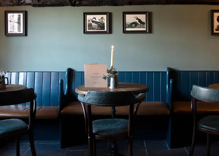 The Plume Of Feathers